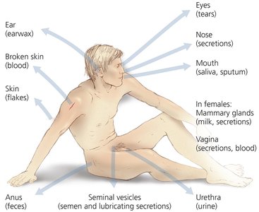 Diagram of portals of exit in the human body