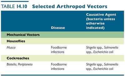 Table of mechanical arthropod vectors