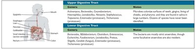 Resident microbiota of the digestive tract