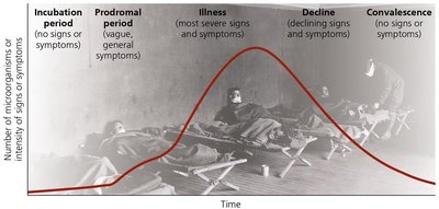 Graph of stages of infectious diseases