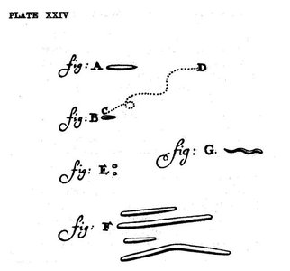 Leeuwenhoek's drawings of microorganisms