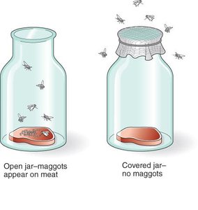 Redi's experiment disproving spontaneous generation