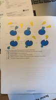 Enzyme-substrate interaction diagram