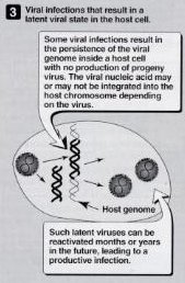 Latent viral infection