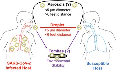 Transmission routes of SARS-CoV-2