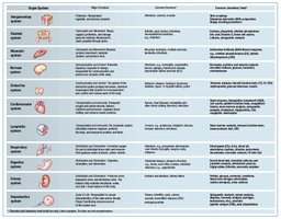 Table summarizing organ systems, functions, disorders, and laboratory tests
