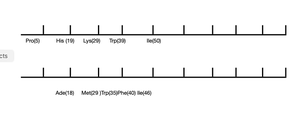 Linear genetic map with markers Pro, His, Lys, Trp, Ile, Ade, Met, Phe, Lac