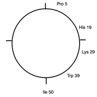 Circular genetic map with markers Pro, His, Lys, Trp, Ile