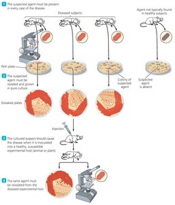 Koch's postulates
