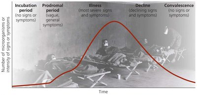 Stages of infectious disease
