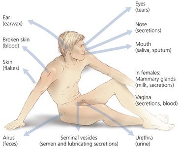 Portals of exit for pathogens