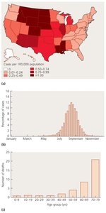 Epidemiologists report data in various ways
