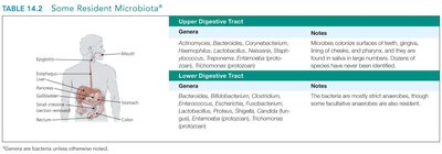 Resident microbiota of the digestive tract