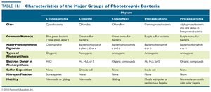 Characteristics of the major groups of phototrophic bacteria