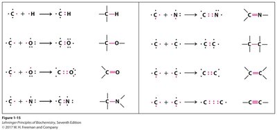 Carbon chain conformations