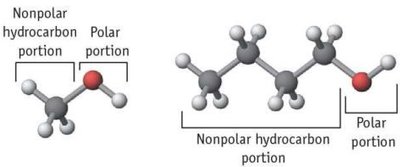 Alcohol polarity and solubility