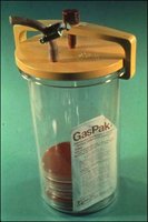 Brewer's anaerobic jar with Gas Pak