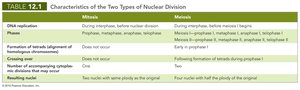 Table comparing mitosis and meiosis