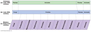 Changing classification of eukaryotes over time