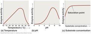 Enzyme activity vs temperature, pH, substrate concentration