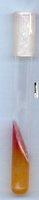 TSI slant showing glucose fermentation