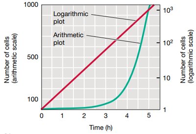 Logarithmic vs arithmetic plot of cell growth