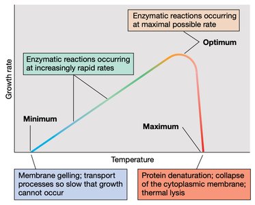 Growth rate vs temperature