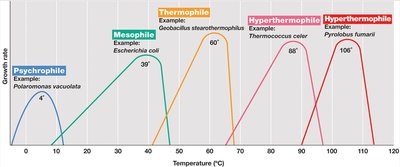 Growth rate curves for psychrophiles, mesophiles, thermophiles, hyperthermophiles