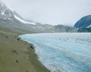 Cold environment adaptation