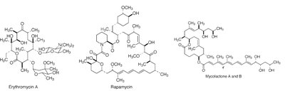 Structures of erythromycin A, rapamycin, and mycolactone