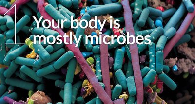 Microbes in the human body