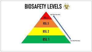 Biosafety levels pyramid