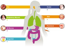 Portals of exit for pathogens