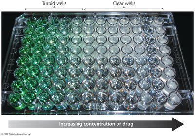 Minimum inhibitory concentration (MIC) test