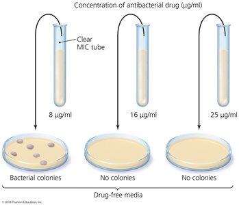 Minimum bactericidal concentration (MBC) test