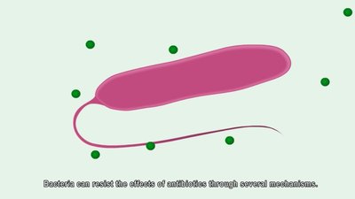 Forms of antibiotic resistance