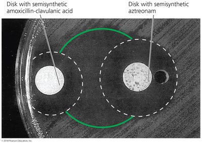 Synergism between two antimicrobial agents