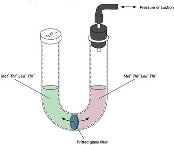U-tube experiment