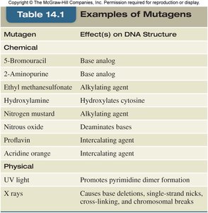 Examples of mutagens and their effects