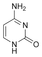 Cytosine structure
