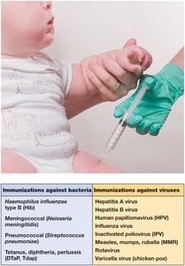 Infant immunization: recommended vaccines