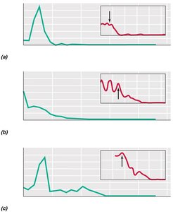 MMR vaccine saves lives: disease incidence graphs
