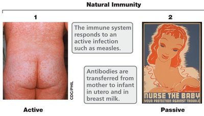 Natural immunity: active and passive