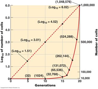 Growth rate graph