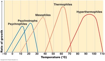 Temperature and growth rate