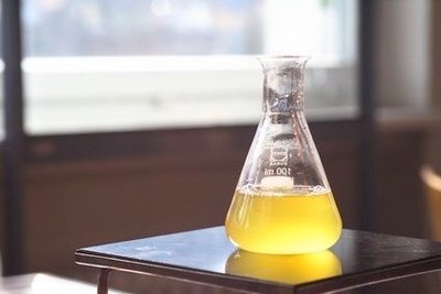 Batch culture flask