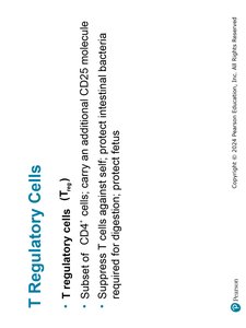 T Regulatory Cells