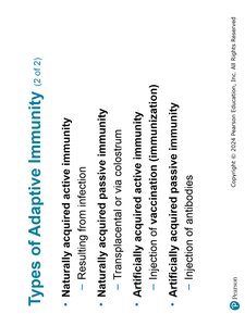 Types of Adaptive Immunity