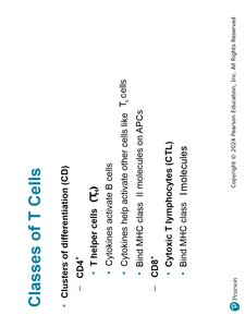 Classes of T Cells