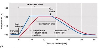 Autoclave cycle showing temperature changes
